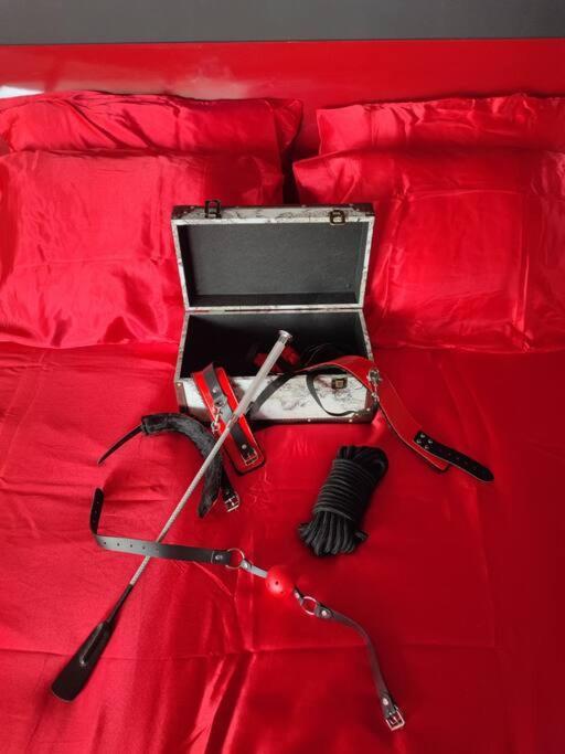 Le Cherubite: Entre Erotisme Et Baroque #Sexroom #Bdsm 라그랑모트 외부 사진